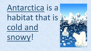 Antarctica is a
habitat that is
cold and
snowy!
 