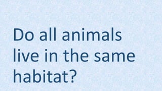 Do all animals
live in the same
habitat?
 
