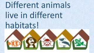 Different animals
live in different
habitats!
 