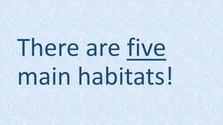 There are five
main habitats!
 