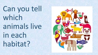 Can you tell
which
animals live
in each
habitat?
 