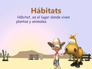 Hábitats
Hábitat, es el lugar donde viven
plantas y animales.
 