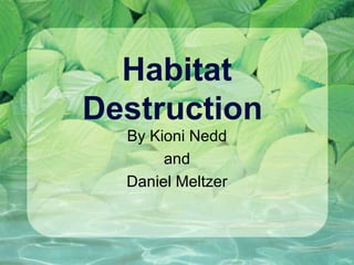 Habitat Destruction  By Kioni Nedd and  Daniel Meltzer 