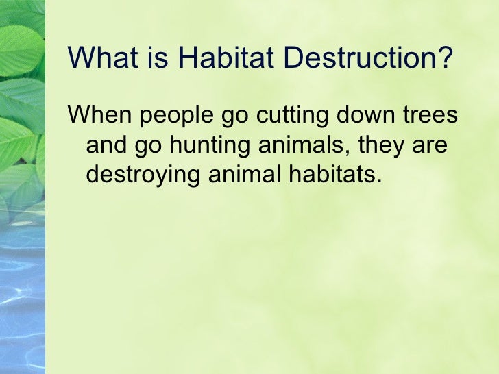 Habitat Destruction