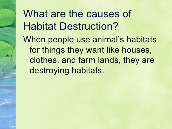 Habitat Destruction