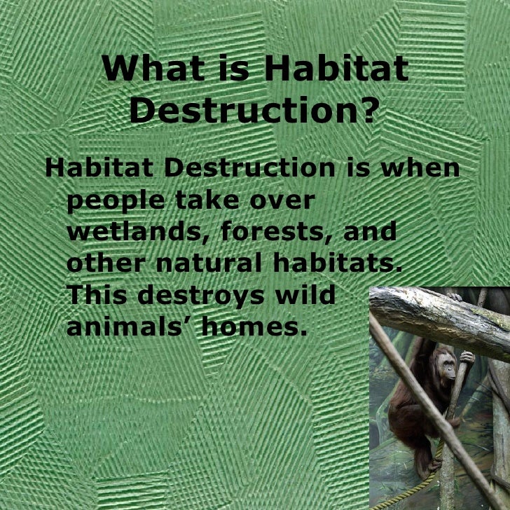 Habitat Destruction