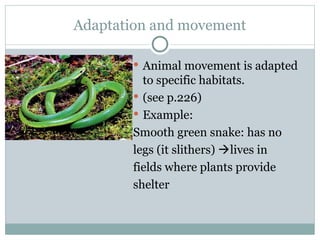 habitat & adaptation, environment, population ppt | PPT