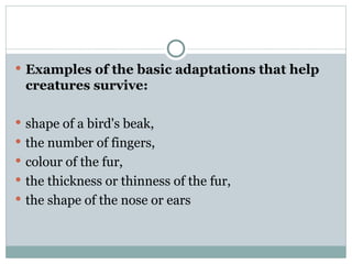 habitat & adaptation, environment, population ppt | PPT