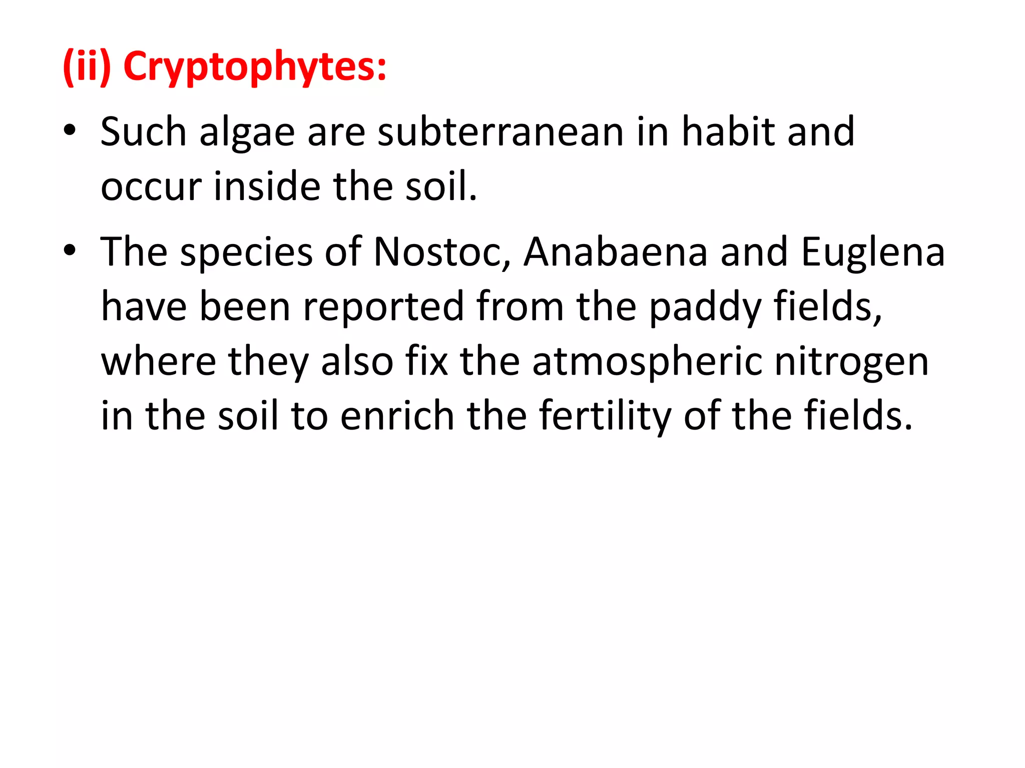 (ii) Cryptophytes:
• Such algae are subterranean in habit and
occur inside the soil.
• The species of Nostoc, Anabaena and Euglena
have been reported from the paddy fields,
where they also fix the atmospheric nitrogen
in the soil to enrich the fertility of the fields.
 