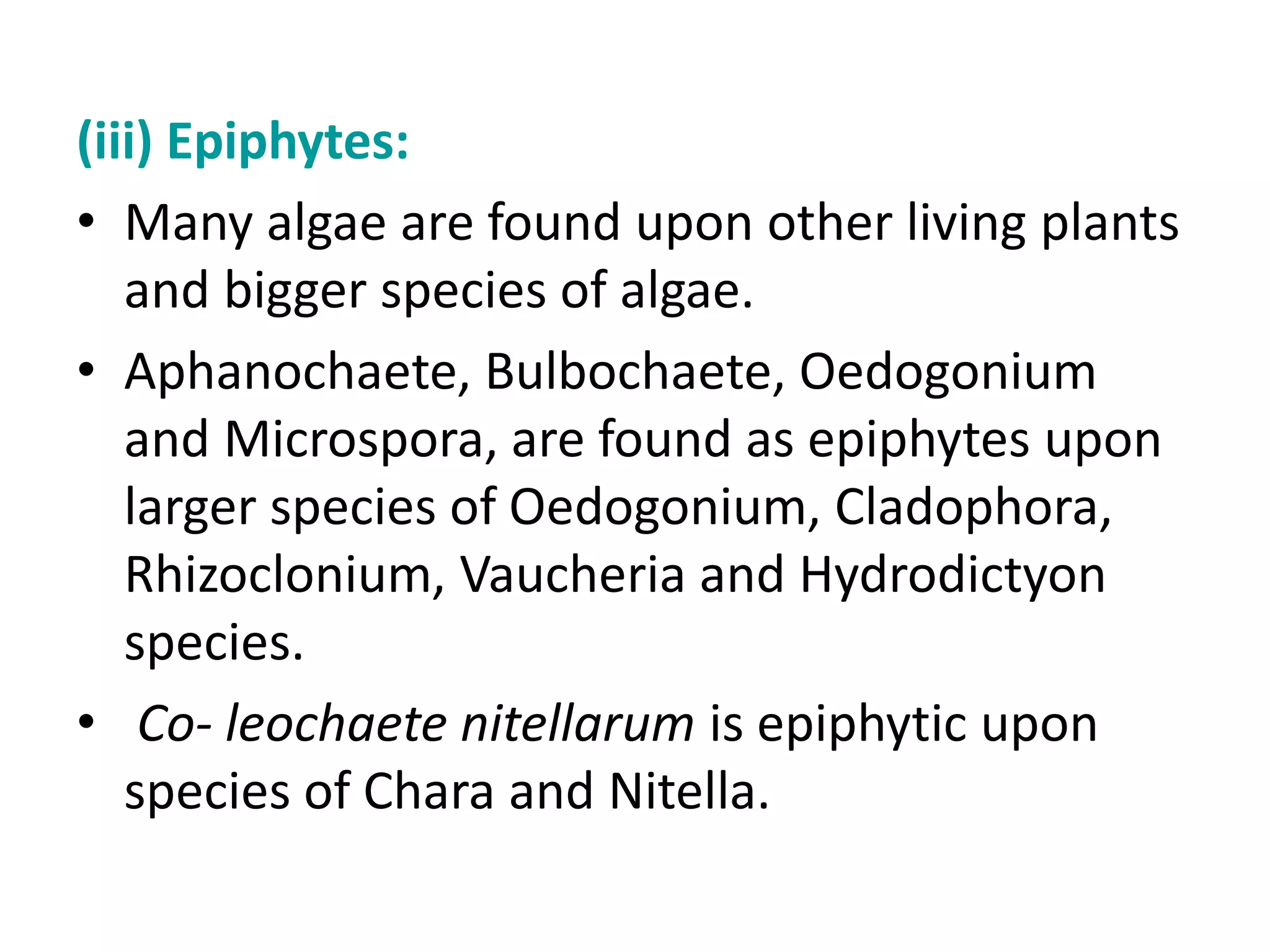 (iii) Epiphytes:
• Many algae are found upon other living plants
and bigger species of algae.
• Aphanochaete, Bulbochaete, Oedogonium
and Microspora, are found as epiphytes upon
larger species of Oedogonium, Cladophora,
Rhizoclonium, Vaucheria and Hydrodictyon
species.
• Co- leochaete nitellarum is epiphytic upon
species of Chara and Nitella.
 