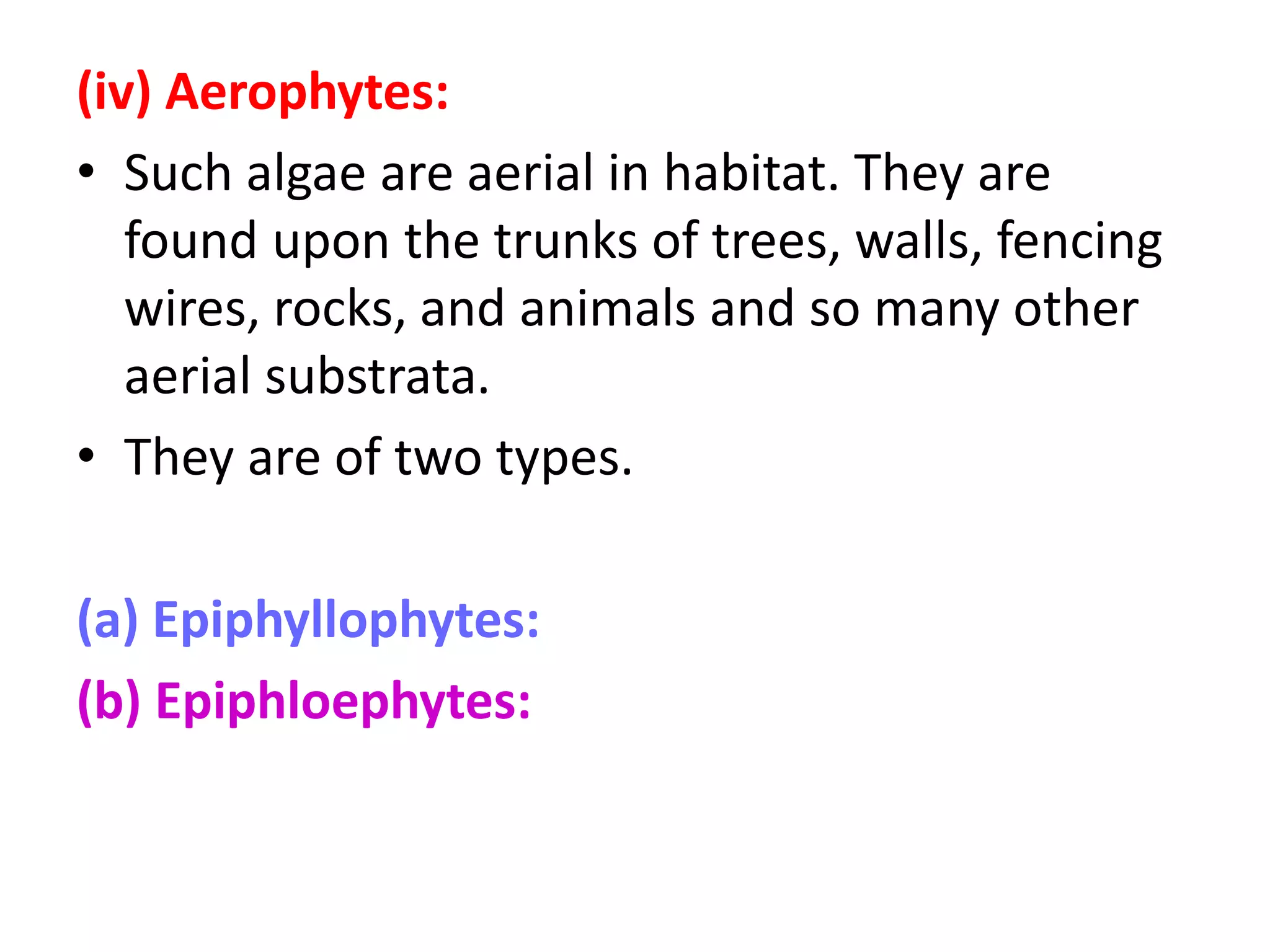 (iv) Aerophytes:
• Such algae are aerial in habitat. They are
found upon the trunks of trees, walls, fencing
wires, rocks, and animals and so many other
aerial substrata.
• They are of two types.
(a) Epiphyllophytes:
(b) Epiphloephytes:
 