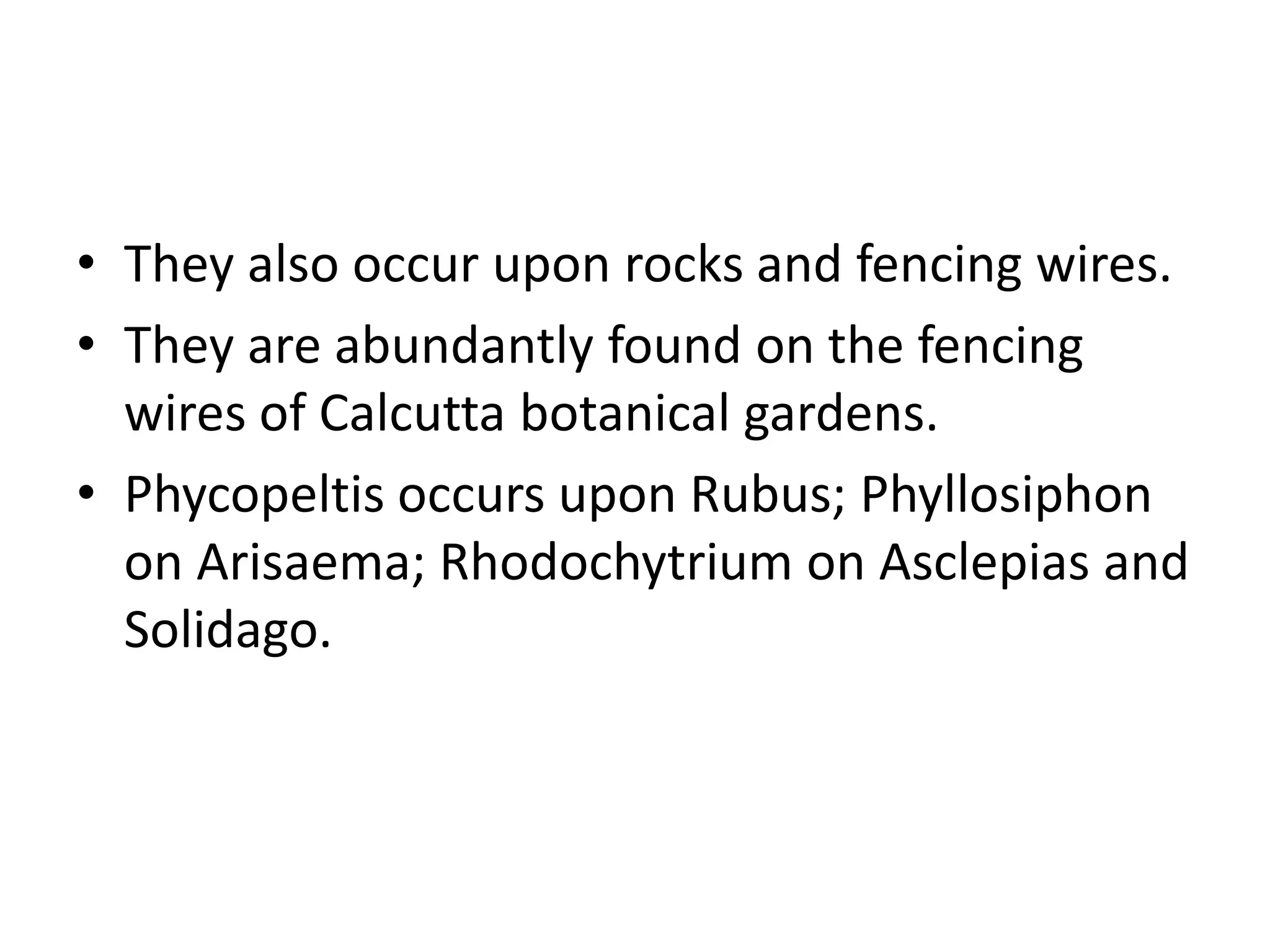 • They also occur upon rocks and fencing wires.
• They are abundantly found on the fencing
wires of Calcutta botanical gardens.
• Phycopeltis occurs upon Rubus; Phyllosiphon
on Arisaema; Rhodochytrium on Asclepias and
Solidago.
 