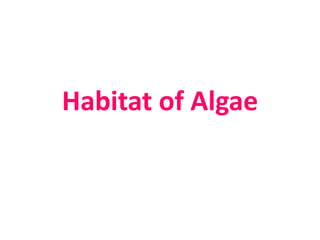 Habitat of Algae
 