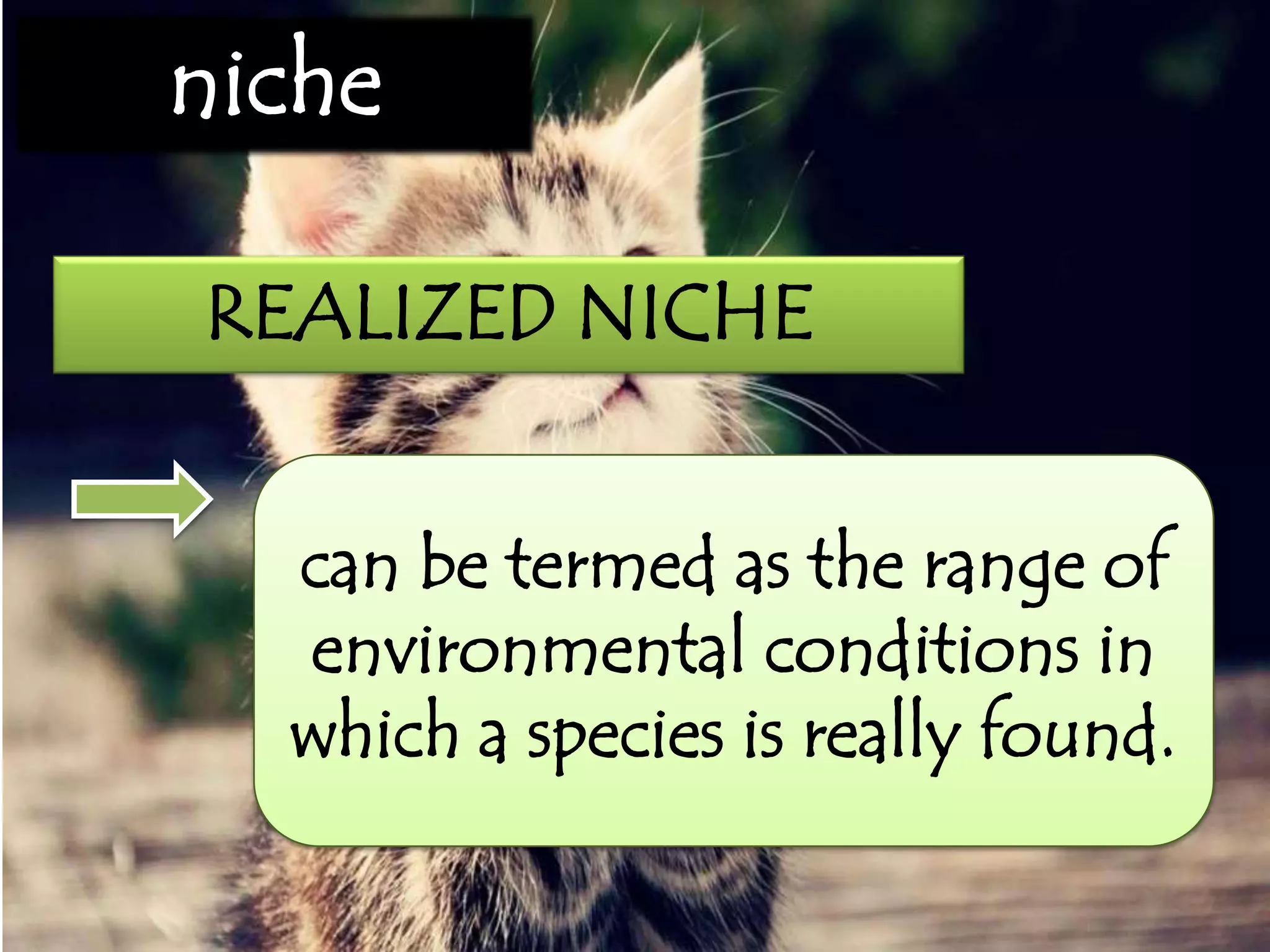 niche
REALIZED NICHE
can be termed as the range of
environmental conditions in
which a species is really found.
 