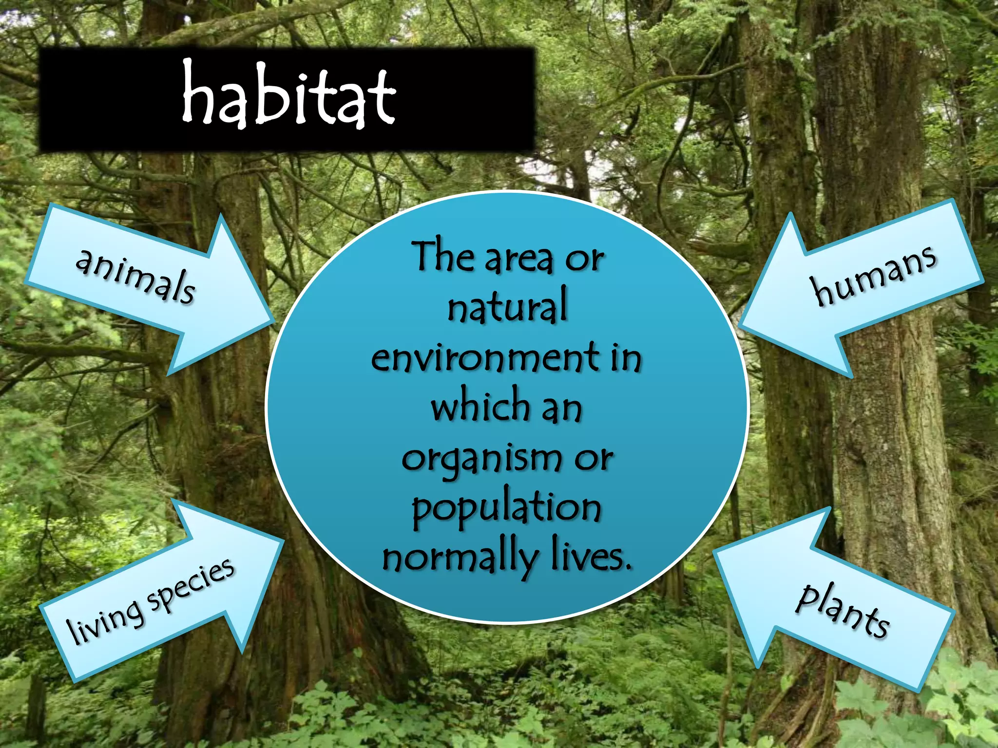habitat
The area or
natural
environment in
which an
organism or
population
normally lives.
 