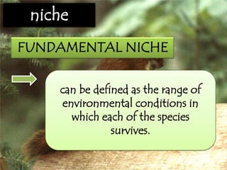 niche
FUNDAMENTAL NICHE
can be defined as the range of
environmental conditions in
which each of the species
survives.
 
