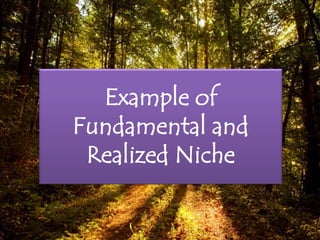 Example of
Fundamental and
Realized Niche
 