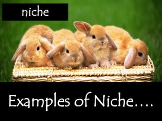 Examples of Niche….
niche
 