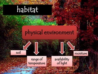 habitat
physical environment
soil moisture
range of
temperature
availability
of light
 