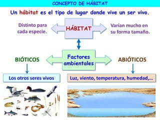 HÁBITAT
Factores
ambientales
Distinto para
cada especie.
Varían mucho en
su forma tamaño.
CONCEPTO DE HÁBITAT
Un hábitat es el tipo de lugar donde vive un ser vivo.
BIÓTICOS ABIÓTICOS
Los otros seres vivos Luz, viento, temperatura, humedad,…
 