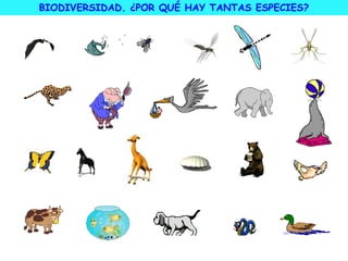 BIODIVERSIDAD. ¿POR QUÉ HAY TANTAS ESPECIES?
 