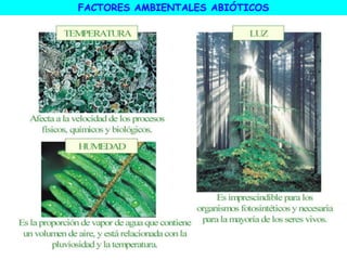 FACTORES AMBIENTALES ABIÓTICOS
 