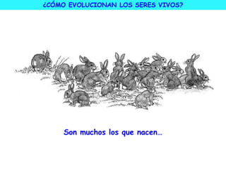 Son muchos los que nacen…
¿CÓMO EVOLUCIONAN LOS SERES VIVOS?
 