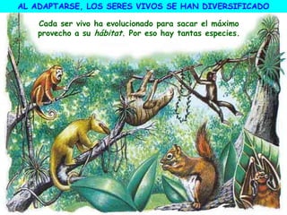 AL ADAPTARSE, LOS SERES VIVOS SE HAN DIVERSIFICADO
Cada ser vivo ha evolucionado para sacar el máximo
provecho a su hábitat. Por eso hay tantas especies.
 