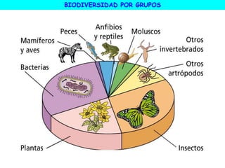 BIODIVERSIDAD POR GRUPOS
 