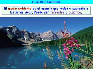 EL MEDIO AMBIENTE
El medio ambiente es el espacio que rodea y sustenta a
los seres vivos. Puede ser terrestre o acuático.
 