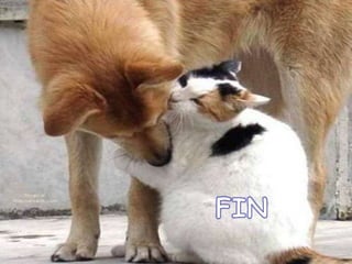 Habitat biodiversidad 1eso