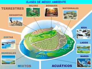 CLASES DE MEDIO AMBIENTE
 