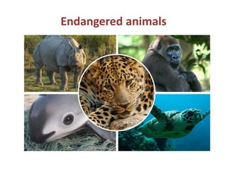 Habitat changes by animals