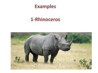 Habitat changes by animals