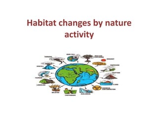 Habitat changes by nature
activity
 