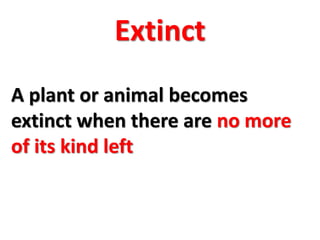 Extinct 
A plant or animal becomes 
extinct when there are no more 
of its kind left 
 