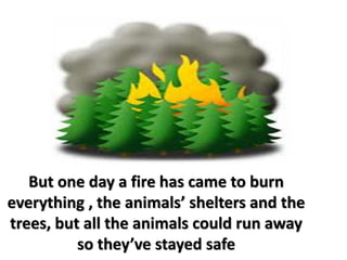 But one day a fire has came to burn 
everything , the animals’ shelters and the 
trees, but all the animals could run away 
so they’ve stayed safe 
 