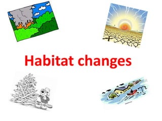 Habitat changes
 