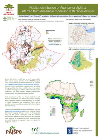 Habitat distribution of Adansonia digitata
inferred from ensemble modelling with BiodiversityR
Species distribution modelling is currently underway for
150+ priority species selected by the PATSPO project,
using similar methods of model calibrations as used for
http://www.worldagroforestry.org/atlas-central-america.
However, more sophisticated methods such as spatial
folding, spatial and environmental thinning are employed
to reduce sampling bias and the effects of spatial auto-
correlation. For native species, presence observations
from across the African continent were gathered.
Here provisional results are shown, calibrated with
presence observations that are available online. In a later
phase, additional presence observations will be included
in model calibrations and evaluations. These will be
provided by experienced botanists that will also verify the
distribution maps.
Figure 1 was created by combining information from the
www.vegetationmap4africa.org with the results of habitat
distribution mapping. Where a section of the projected
range of the species overlapped with its expected
distribution in vegetation types, the section was given the
same colouring as the vegetation map. Sections that did
not match documented vegetation types were plotted in
the grey33 R colour.
Figure 1. Projected presence
distribution of the species in
Ethiopia. Administrative
boundaries from
www.gadm.org version 3.6.
Figure 2. Administrative boundaries for Ethiopia from
www.gadm.org version 3.6.
Figure 3. Distribution of potential natural vegetation
types in Ethiopia from www.vegetationmap4africa.org
Figure 4. Projected presence
distribution of the species
across Africa. Administrative
boundaries tmap version 2.2
(Tennekes 2018).
Roeland Kindt1, Lars Graudal12, Jens-Peter B Lillesø2, Abrham Abiyu1, Soren Moestrup12, Paulo van Breugel3
1 World Agroforestry Centre, Tree Productivity and Diversity
2 University of Copenhagen, Department of Geosciences and Natural Resource Management (IGN)
3 HAS University of Applied Sciences, 's-Hertogenbosch
 