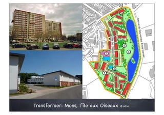 Transformer: Mons, l’île aux Oiseaux   © A2M
 