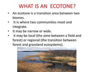 WHAT IS AN ECOTONE?
• An ecotone is a transition area between two
biomes.
• It is where two communities meet and
integrate.
• It may be narrow or wide.
• it may be local (the zone between a field and
forest) or regional (the transition between
forest and grassland ecosystems).
 