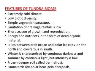 FEATURES OF TUNDRA BIOME
• Extremely cold climate.
• Low biotic diversity.
• Simple vegetation structure.
• Limitation of drainage,rainfall is low
• Short season of growth and reproduction.
• Energy and nutrients in the form of dead organic
material.
• It lies between artic ocean and polar ice caps on the
north and coniferous in south.
• Winter is characterised by continous darkness and
summer by continous light ,but intensity is low.
• Frozen deeper soil called permafrost.
• Fauna:artic fox,polar bear ,rein deer,seals.
 