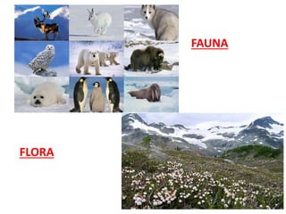 FAUNA
FLORA
 