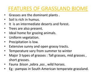 FEATURES OF GRASSLAND BIOME
• Grasses are the dominant plants .
• Soil is rich in humus.
• It is an intermediate deserts and forest.
• Trees are also present.
• Ideal home for grazing animals.
• Uniform vegetation.
• Precipitation is low.
• Extensive sunny and open grassy tracts.
• Temperature vary from summer to winter
• Major 3 types of grasses : Tall grasses, mid grasses ,
short grasses.
• Fauna :bison ,zebra ,ass , wild horses.
• Eg : pampas in South American temperate grassland.
 