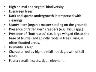 • High animal and vegetal biodiversity
• Evergreen trees
• Dark and sparse undergrowth interspersed with
clearings
• Scanty litter (organic matter settling on the ground)
• Presence of “strangler” creepers (e.g. Ficus spp.)
• Presence of “buttresses” (i.e. large winged ribs at the
base of trunks) and spindly roots in trees living in
often-flooded areas.
• Humidity is high.
• Characterized by high rainfall , thick growth of tall
trees.
• Fauna : snail, insects, tiger, elephant.
 
