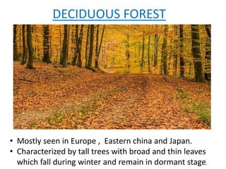 DECIDUOUS FOREST
• Mostly seen in Europe , Eastern china and Japan.
• Characterized by tall trees with broad and thin leaves
which fall during winter and remain in dormant stage.
 