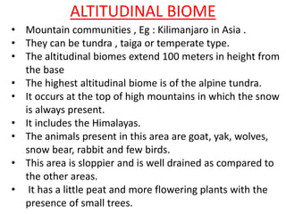 ALTITUDINAL BIOME
• Mountain communities , Eg : Kilimanjaro in Asia .
• They can be tundra , taiga or temperate type.
• The altitudinal biomes extend 100 meters in height from
the base
• The highest altitudinal biome is of the alpine tundra.
• It occurs at the top of high mountains in which the snow
is always present.
• It includes the Himalayas.
• The animals present in this area are goat, yak, wolves,
snow bear, rabbit and few birds.
• This area is sloppier and is well drained as compared to
the other areas.
• It has a little peat and more flowering plants with the
presence of small trees.
 