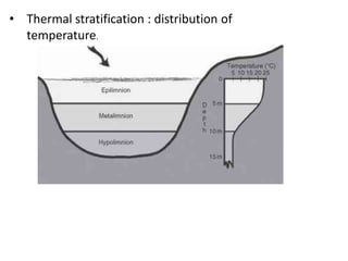 • Thermal stratification : distribution of
temperature.
 