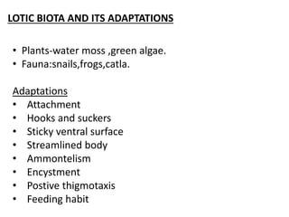 LOTIC BIOTA AND ITS ADAPTATIONS
• Plants-water moss ,green algae.
• Fauna:snails,frogs,catla.
Adaptations
• Attachment
• Hooks and suckers
• Sticky ventral surface
• Streamlined body
• Ammontelism
• Encystment
• Postive thigmotaxis
• Feeding habit
 