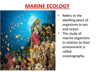 MARINE ECOLOGY
• Refers to the
dwelling place of
organisms in sea
and ocean.
• The study of
marine organisms
in relation to their
environment is
called
oceanography.
 